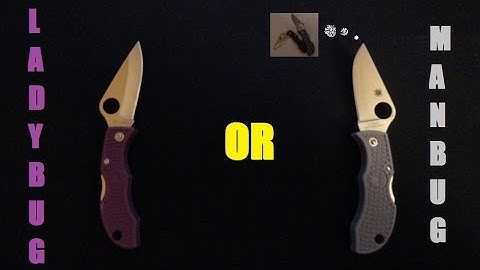 Ladybug vs Manbug