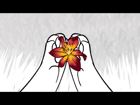 DAYLILY