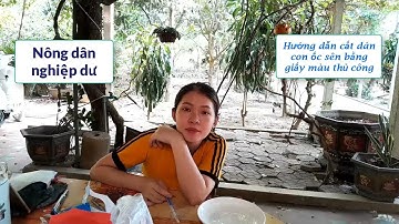 Nông dân nghiệp dư | Hướng dẫn cắt dán con ốc sên bằng giấy màu thủ công