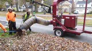 Fall Leaf Collection: City of South Euclid, Ohio