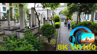 Ancient Ottoman cemetery Kabristan-ı Hümayun in Istanbul Turkey 8K 4K VR180 3D Travel