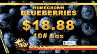 Shelton's Weekly Ad 7/29/2013