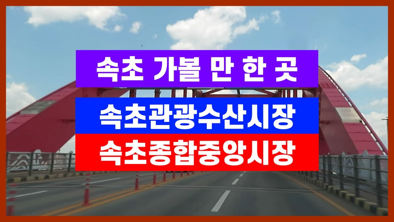 속초 가볼 만한 곳 속초중앙시장 맛집과 풍경들