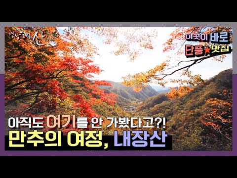 | “<strong>만추</strong>(晩秋)의 여정, 내장산”