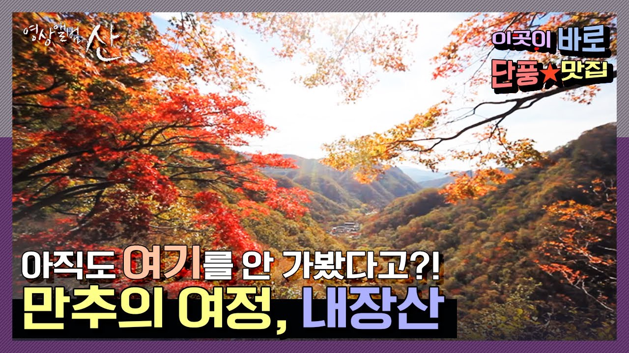[영상앨범 산] 단풍 전경 중 단연 최고★ 이번 가을은 내장산으로! | “만추(晩秋)의 여정, 내장산” (KBS 121118 방송)