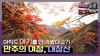 [Video Album Mountain] The Best Fall Foliage Scenes Ever★ This Fall, Head to Naejangsan! | "A Lat...
