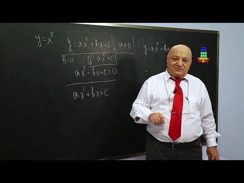 ცვანციკას ონლაინ გაკვეთილები - კვადრატული ფუნქცია