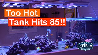 Tank Hits 85, How I Beat the Heat screenshot 4