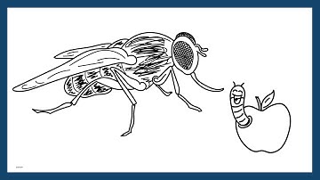 Spontaneous Generation
