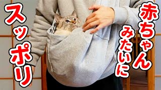 抱っこが好きすぎる猫のために抱っこ紐を買ってみたら、意外な反応が…！