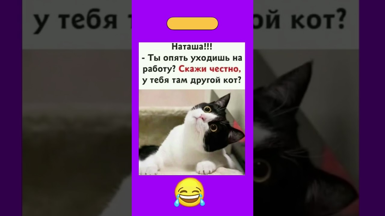 #юмор