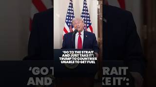 ‘Go to the Strait and just take it’: Trump to countries unable to get fuel