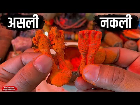 वीडियो: सच्ची जोड़ी किसकी है?