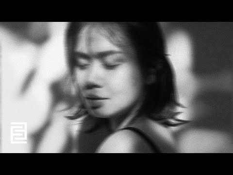 Blackbird - Nocturnal