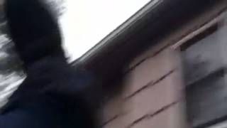 The Last Flip