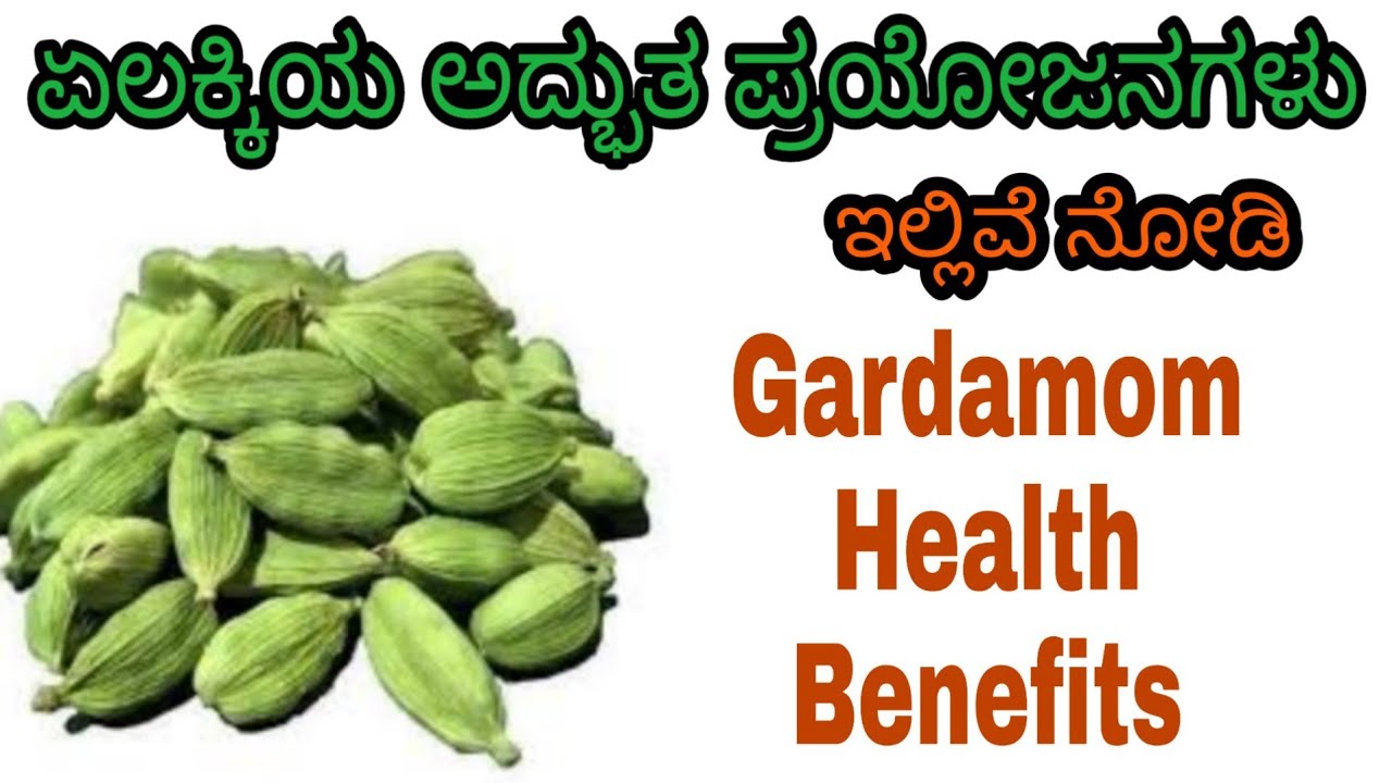 Cardamom Uses in Kannada Yelakki Benefits in Kannada Yelakki Uses
