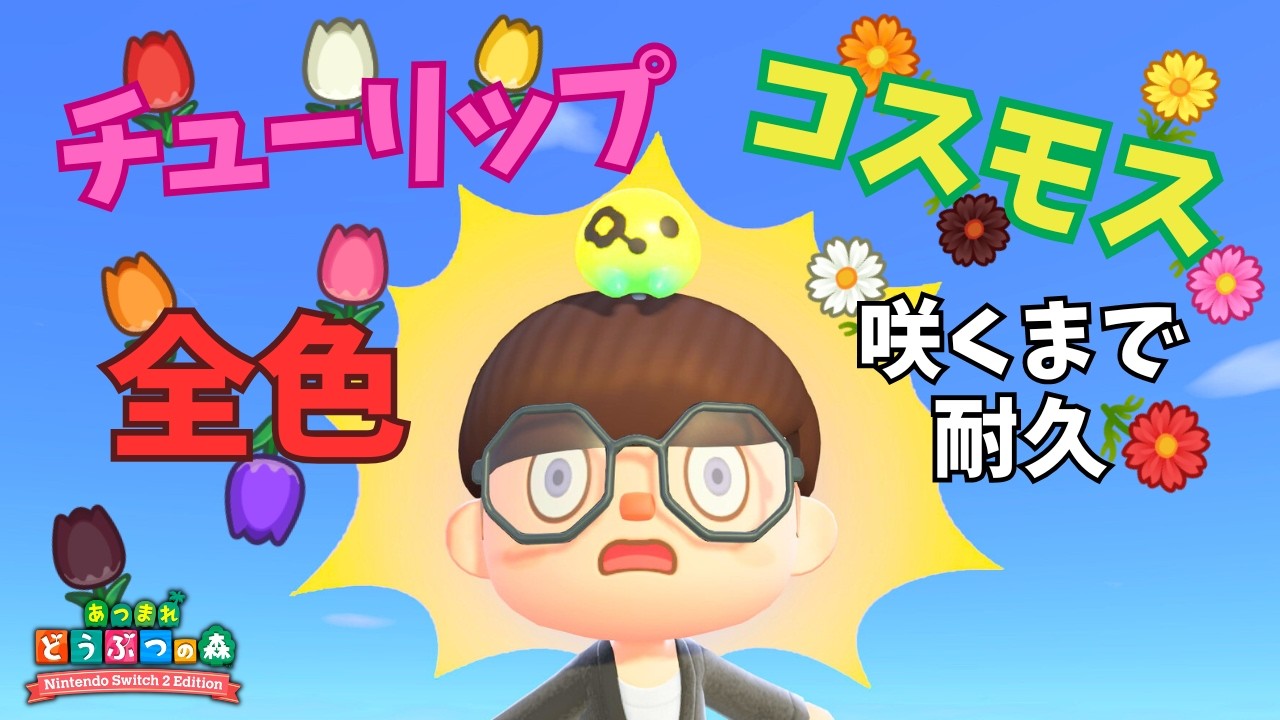 【耐久】チューリップ ＆ コスモスを全色咲かせるまで終わらない耐久！！！【あつ森】