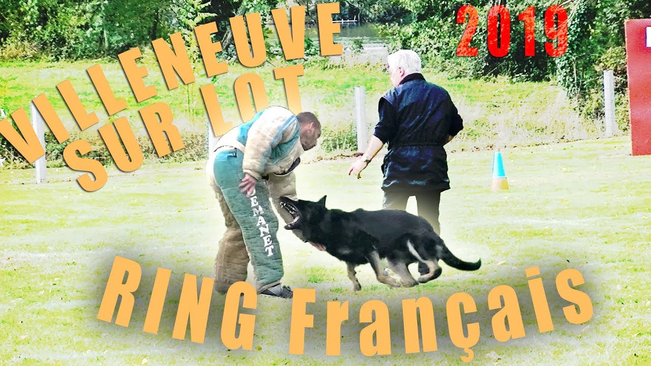 RING FRANÇAIS VILLENEUVESURLOT 2019 YouTube