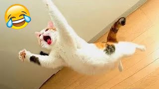 Funniest Animals 😂 Funny Cats and Dogs 2023 😺🐶 Part 23