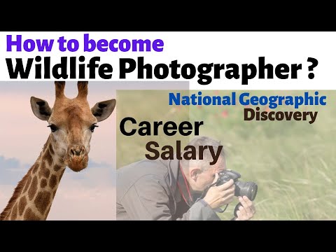 Wildlife Photography Career in India — How to Become One