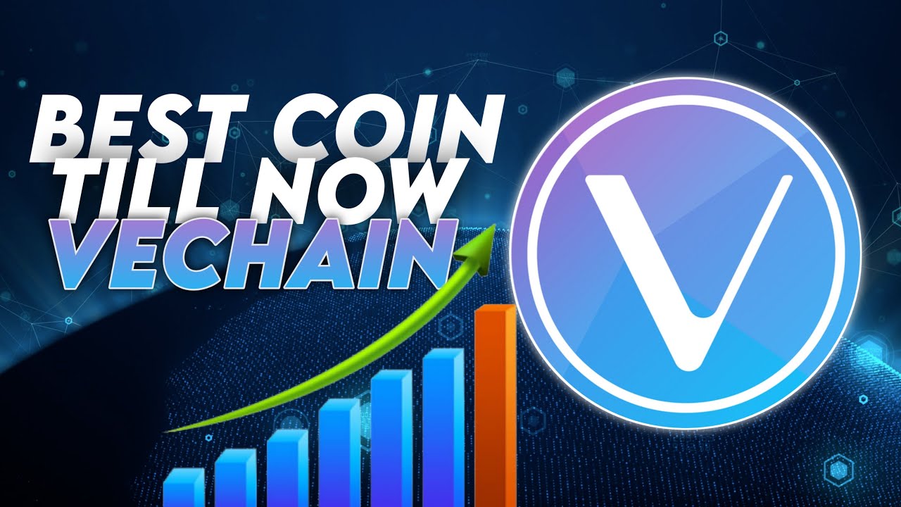 Why You Should Invest in Vechain