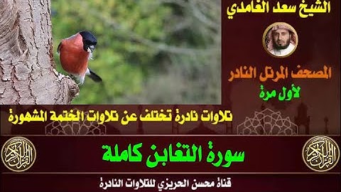 الشيخ سعد الغامدي المصحف المرتل النادر سورة التغابن تلاوة هادئة وخاشعة من التلاوات الجميلة والمريحة