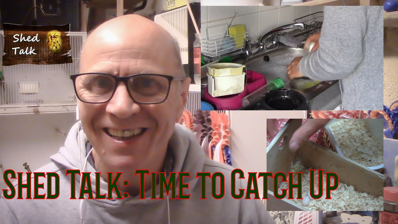 Series 5 - Episode 40: Time to Catch Up