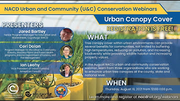 Urban Canopy Cover - August 2021