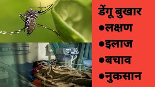 डेंगू बुखार की सभी जानकारी, लक्षण,इलाज,बचाव, lab test।denguefever dengue fever