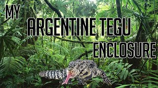 Upgrading My Argentine Tegu Enclosure - Black and White Argentine Tegu