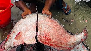 পদ্মা নদীর বিশাল ১ টি চিতল মাছ কাটিং হচ্ছে পালের চর মাছ বাজারে॥