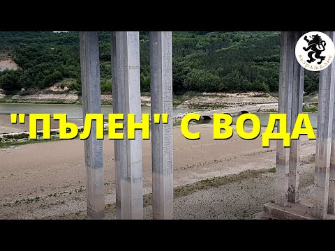 Видео: Защо бобрите строят язовири?