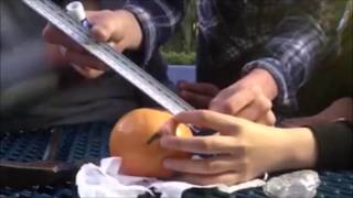 Trigonometry – First Partial Project The curvature of the Earth.