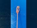 BOWLINE #viral #knot #shortsviral #diy #knotying #shorts #viral #fyp #tutorial #knottutorial #diy