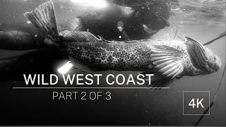 WILD WEST COAST / Spearfishing for GIANT Lingcod off Vancouver Island. WE GOT ONE!
