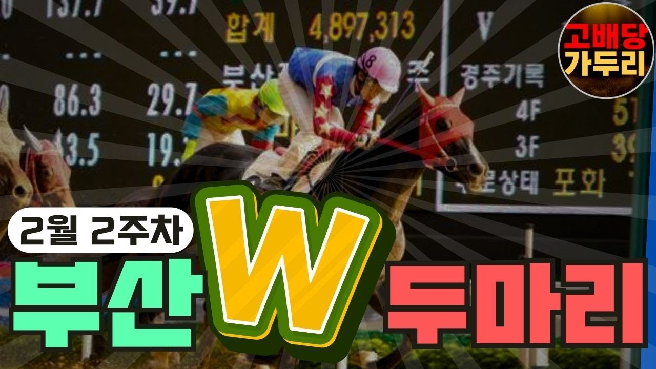2월2주차 부산 복병 두마리!!!