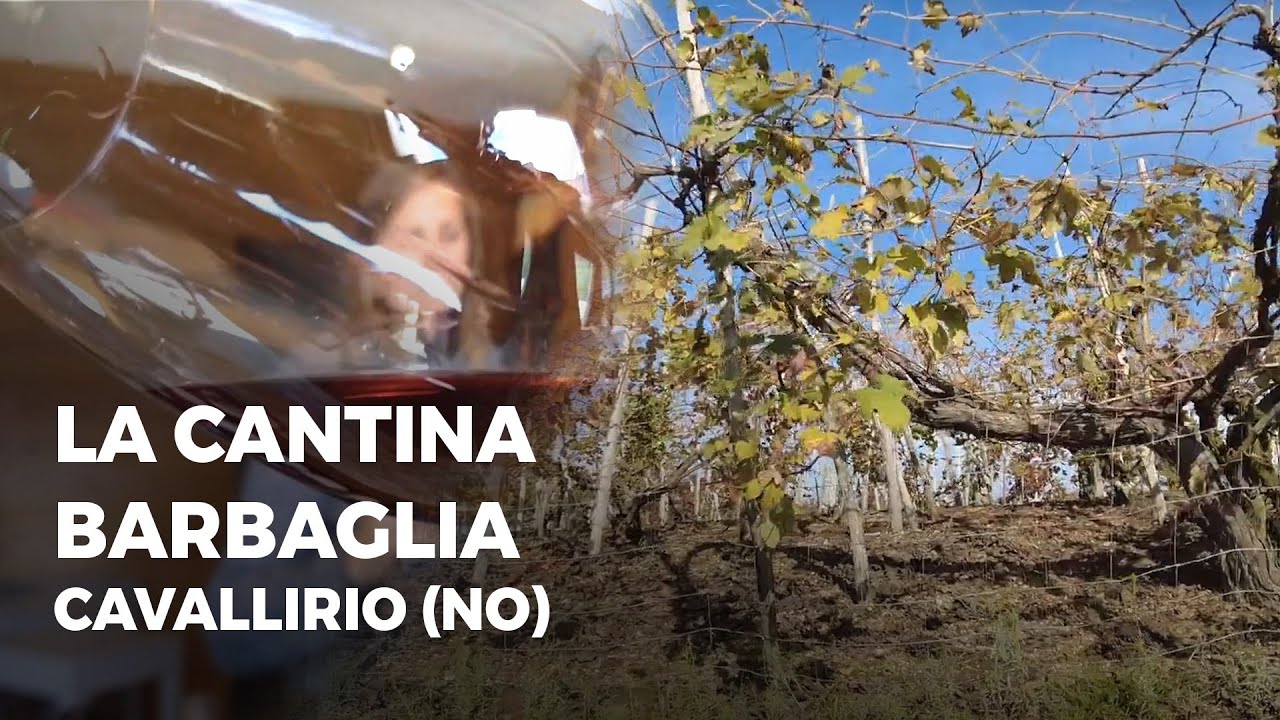La Cantina Barbaglia - Cavallirio (NO)