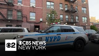Toddler falls from 5th-floor window in the Bronx, police say