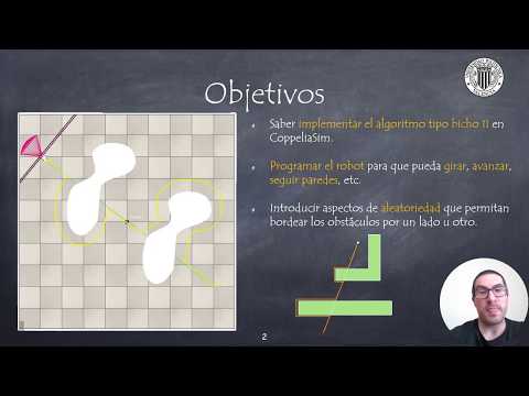 Cómo Implementar un Algoritmo Bicho Tipo-II | CoppeliaSim (V-REP)