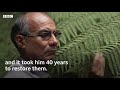 The man who grew his own Amazon rainforest - BBC World Service