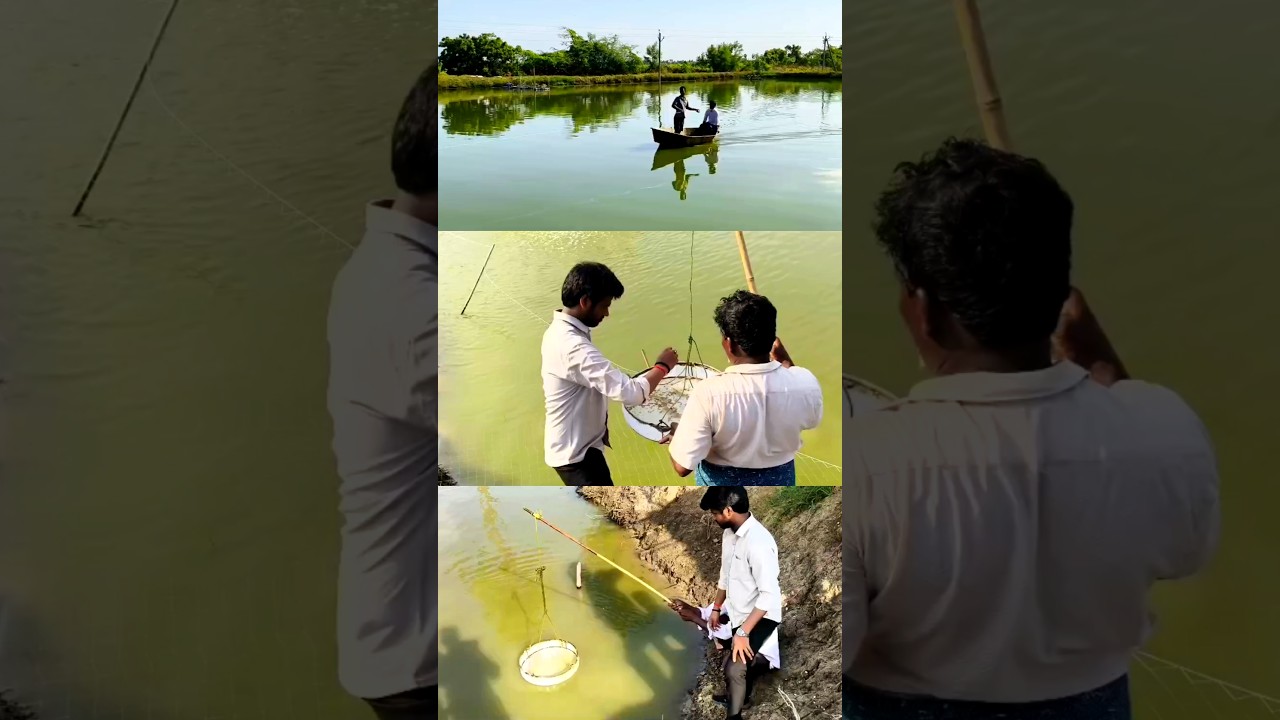 Моя страсть и профессия | Помощь фермерам, занимающимся аквакультурой, чтобы сделать Индию сильно...