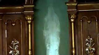 MIRACLE OF THE IMAGE OF OUR LADY OF LOURDES IN ALTAGARCIA, ARGENTINA,