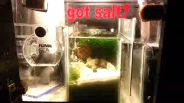 DIY 10 gallon sump refugium plans