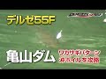 【亀山ダム】沖ボイル　瀕死のワカサギパターン攻略法　デルゼ55F