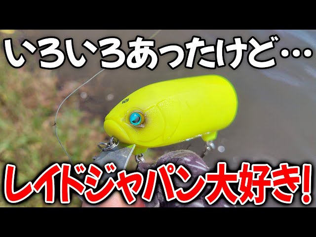 Delivering My Love for RAID JAPAN Straight from a Fishing