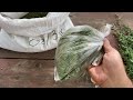 Люцерна 100 граммов - сколько это
