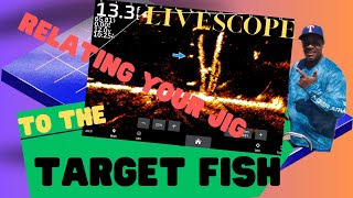 LIVESCOPE: Relating the Jig to Target Fish   4K