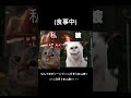 猫ミーム 双子座AB型彼氏 四重人格 と映画デートした話 猫ミーム カップル デート