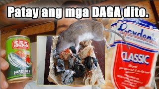 Paano Puksain Ang Mga Daga How To Get Rid Of Rats