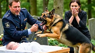 видео: На похоронах младенца немецкая овчарка начала лаять — то, что нашли в гробу, шокировало всех. картинка: На похоронах младенца немецкая овчарка начала лаять — то, что нашли в гробу, шокировало всех.